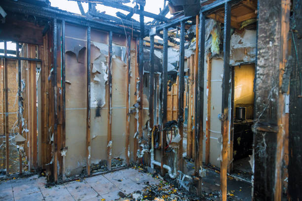 Professional Fire Damage Removal technician working in Berlin, MD